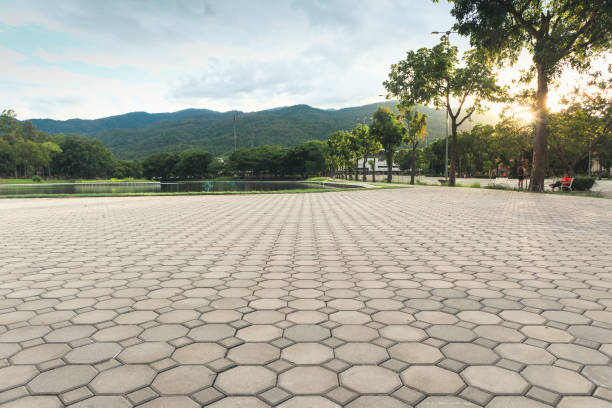 Best Residential Paver Driveway  in Mcdade, TX